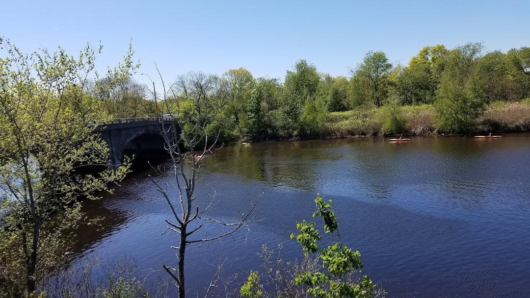 Cumnock Synthetic Fields 1 & 2 photo 2