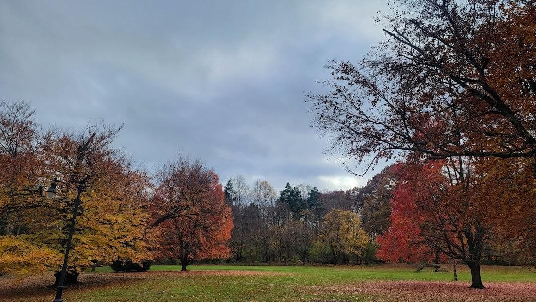 Brookdale Park photo 5