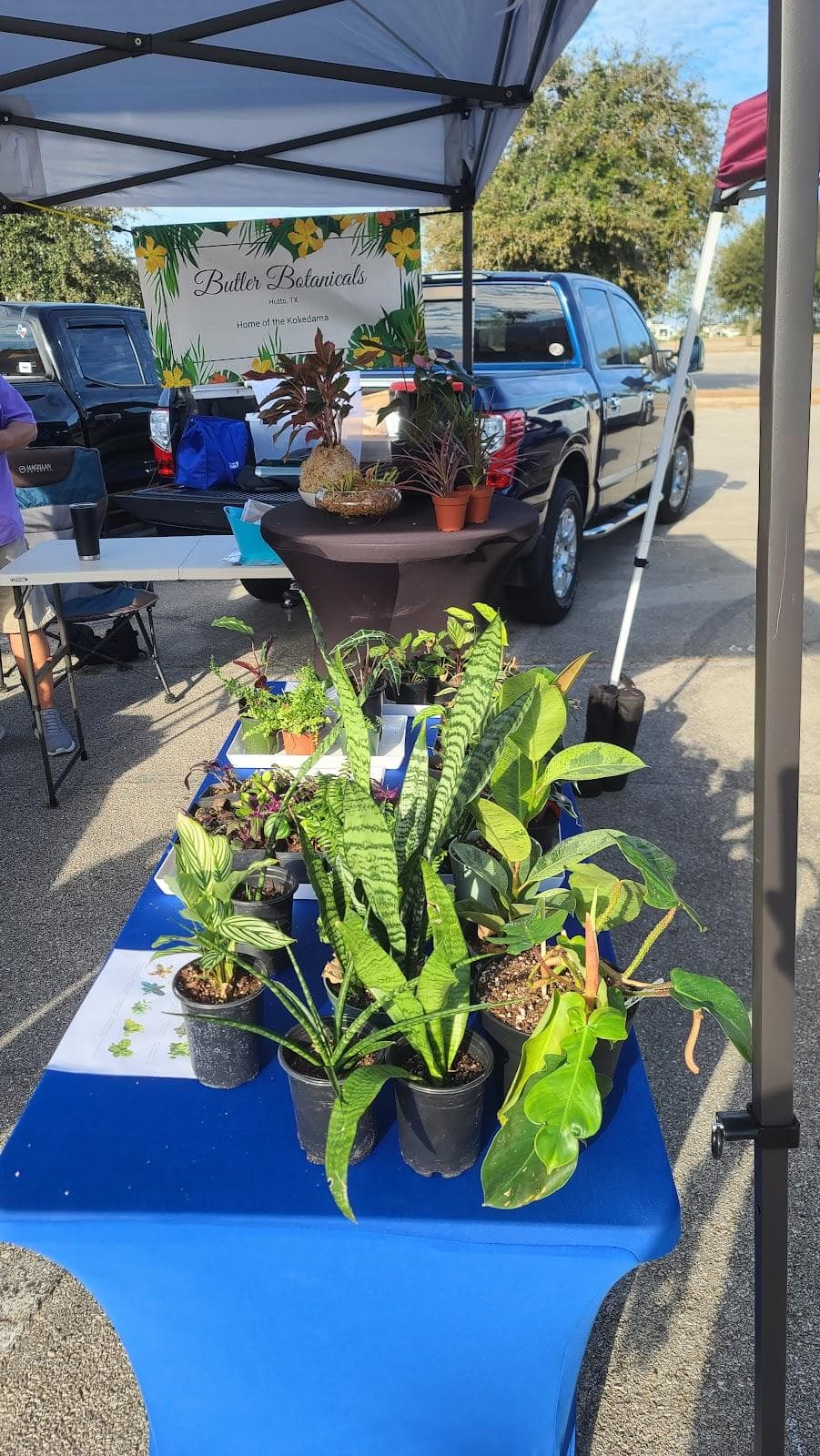 Lakeline Farmers Market photo 2