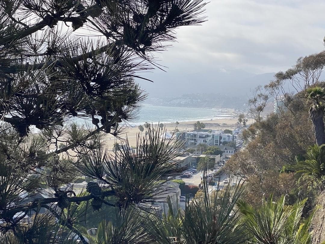 1301 Ocean Ave photo 1