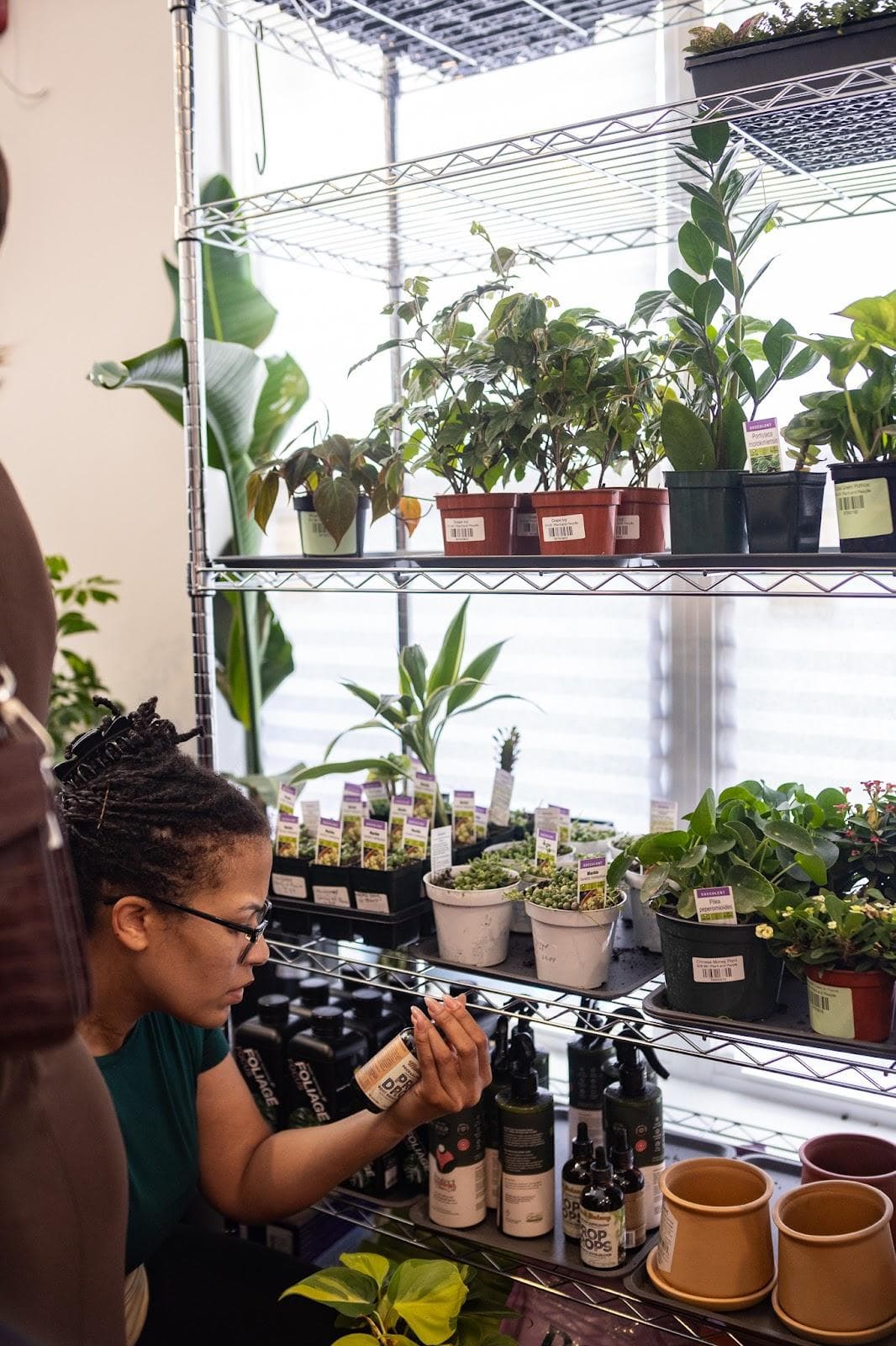 Plant and People photo 4