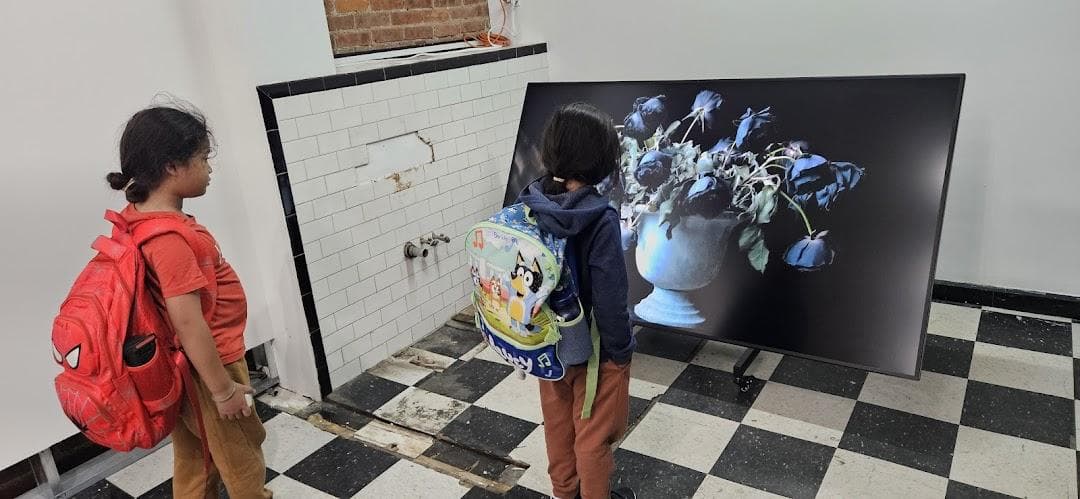 Various/Artists photo 3