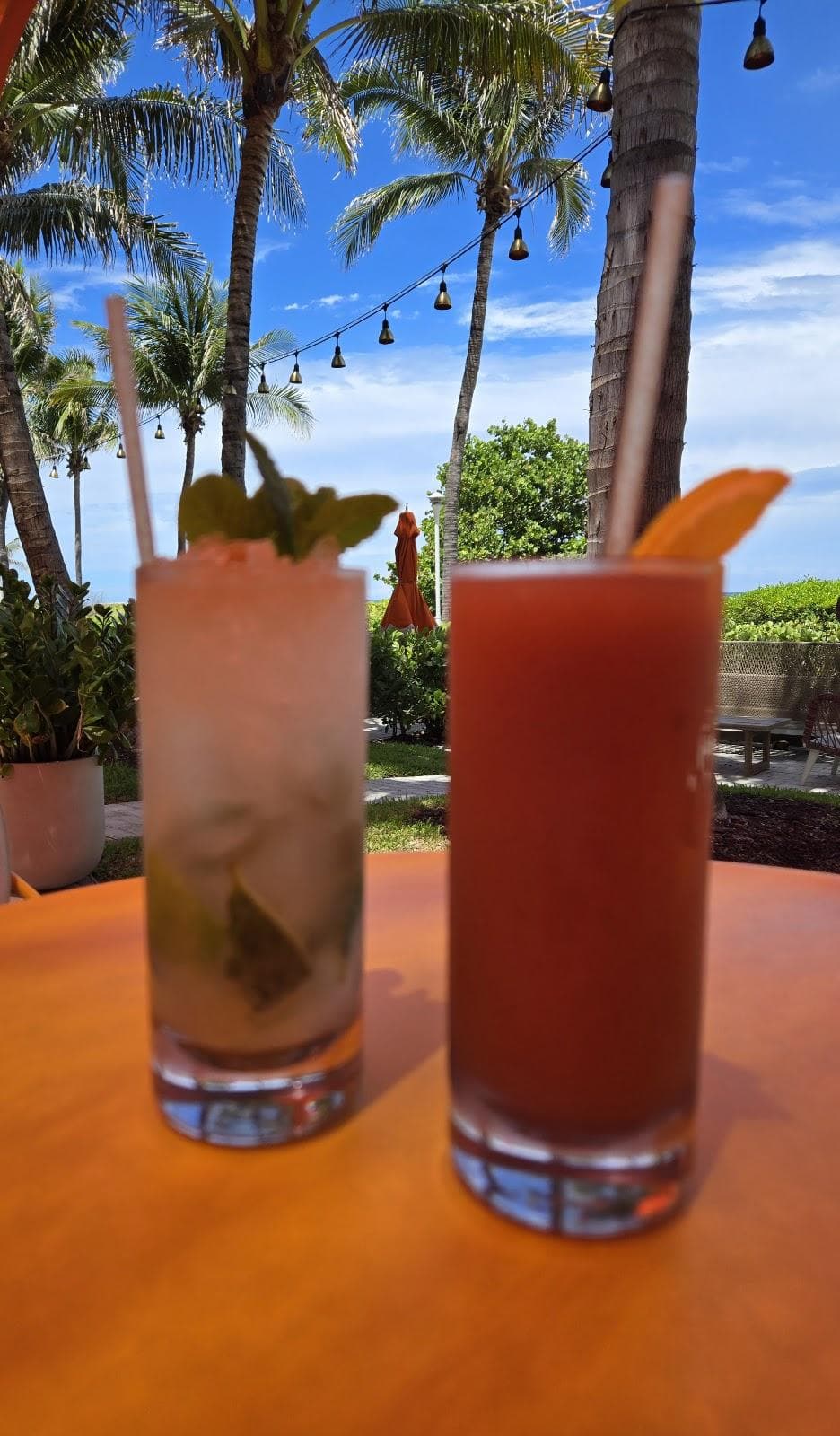 DiLido Beach Bar photo 3