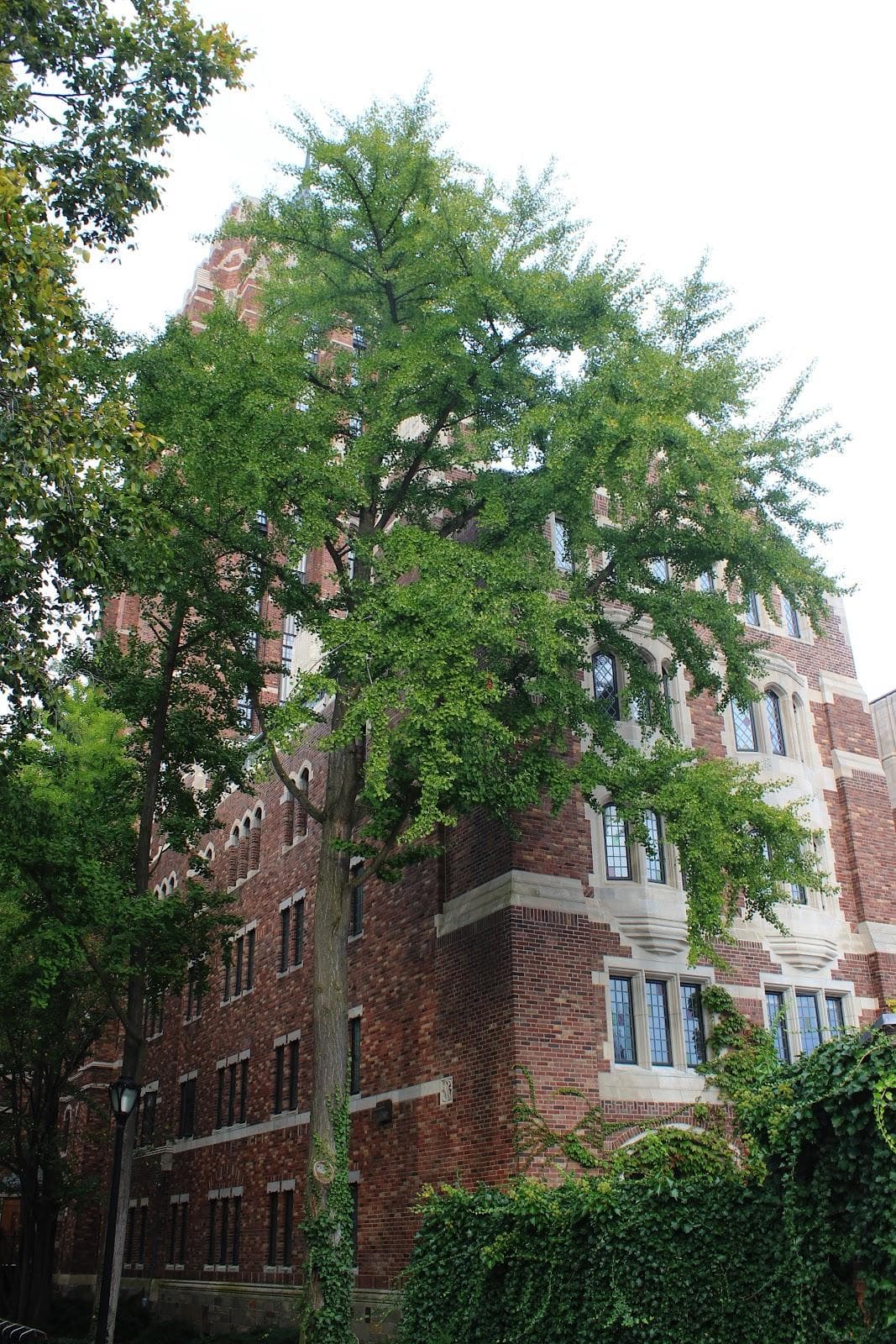 Cross Campus photo 3