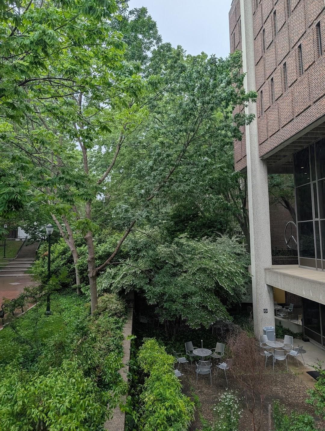 Van Pelt Library photo 5