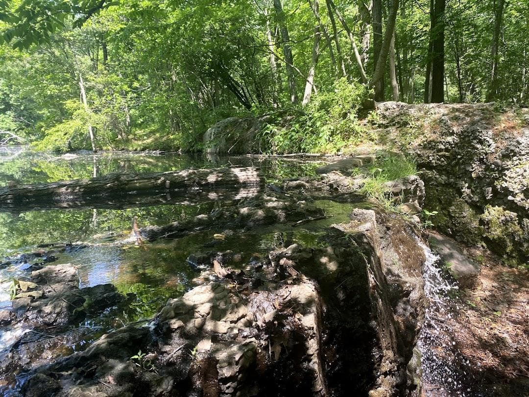 Allandale Woods photo 1