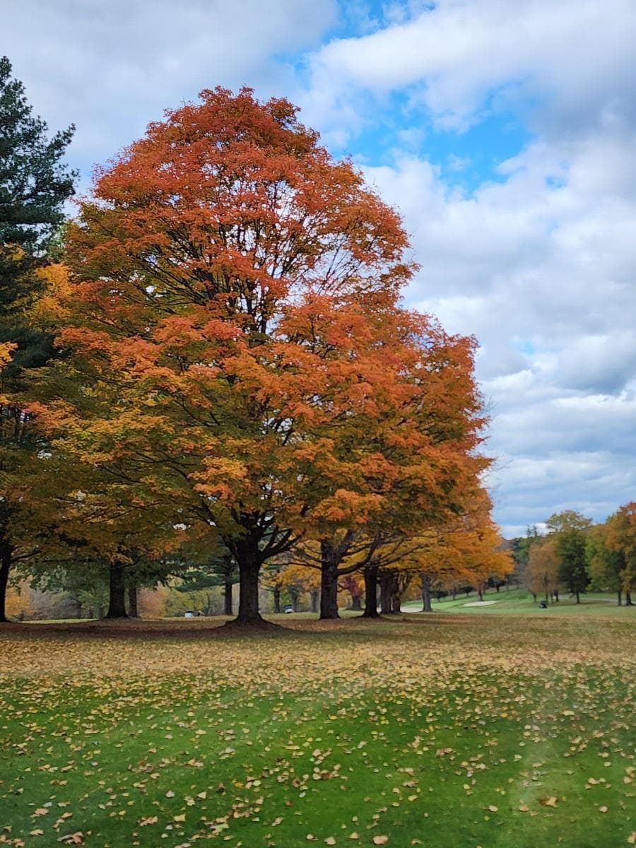 Putnam County Golf Course photo 4