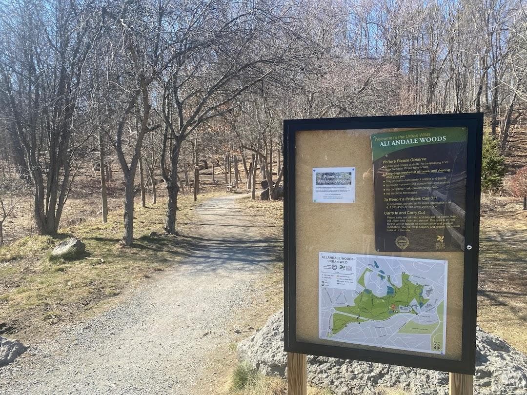 Allandale Woods photo 6