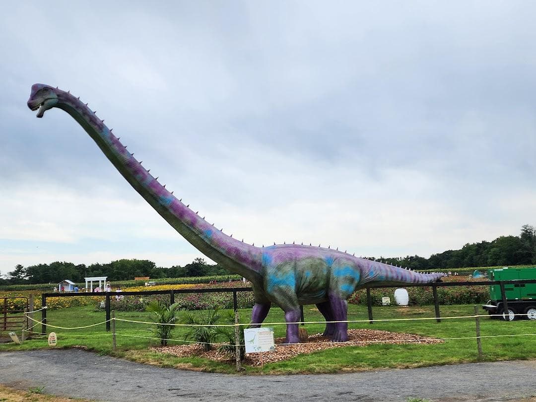 Arrowhead Farmstead photo 2