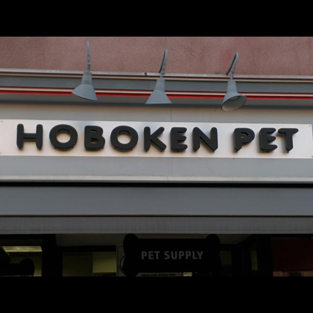 Hoboken Pet photo 3