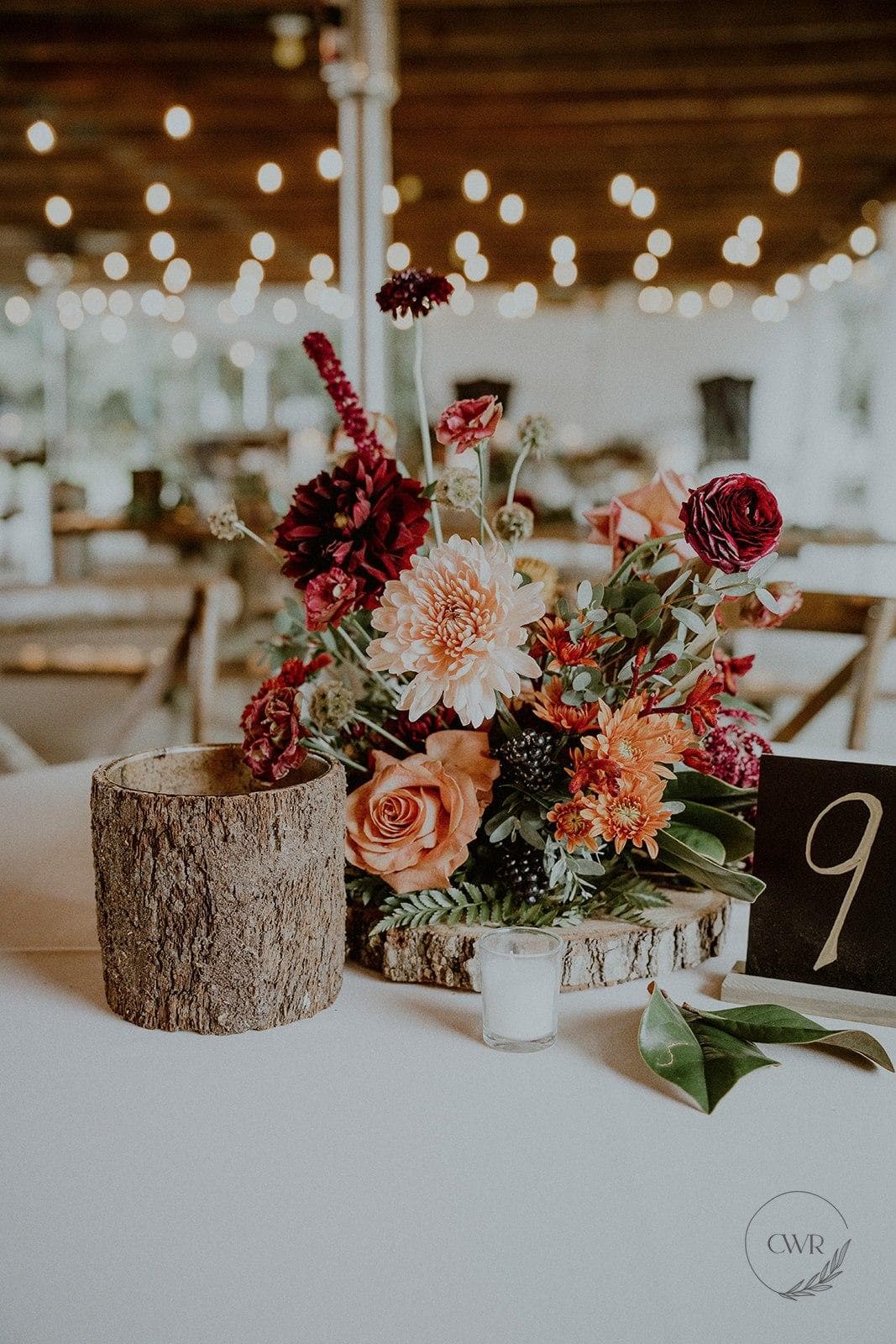 Pat's 30 Acres photo 3