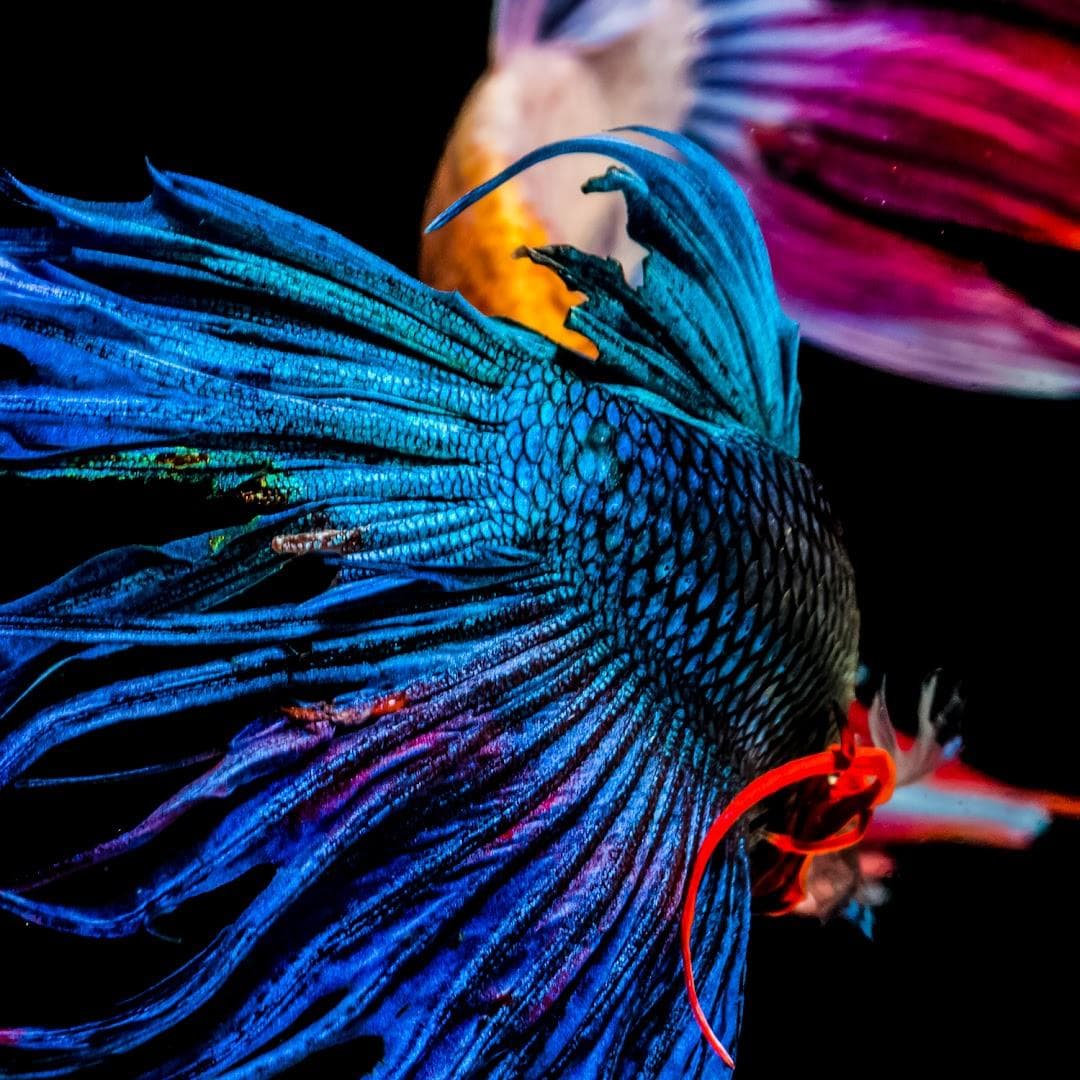 The SPACE Art Gallery photo 2