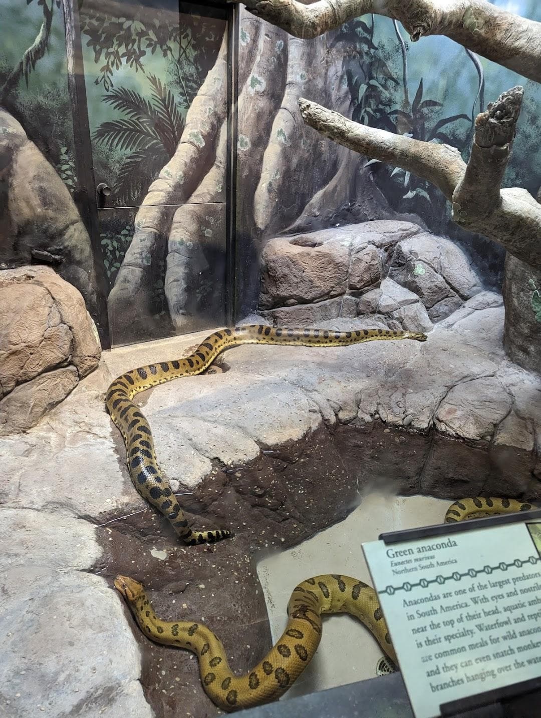 Philadelphia Zoo photo 2