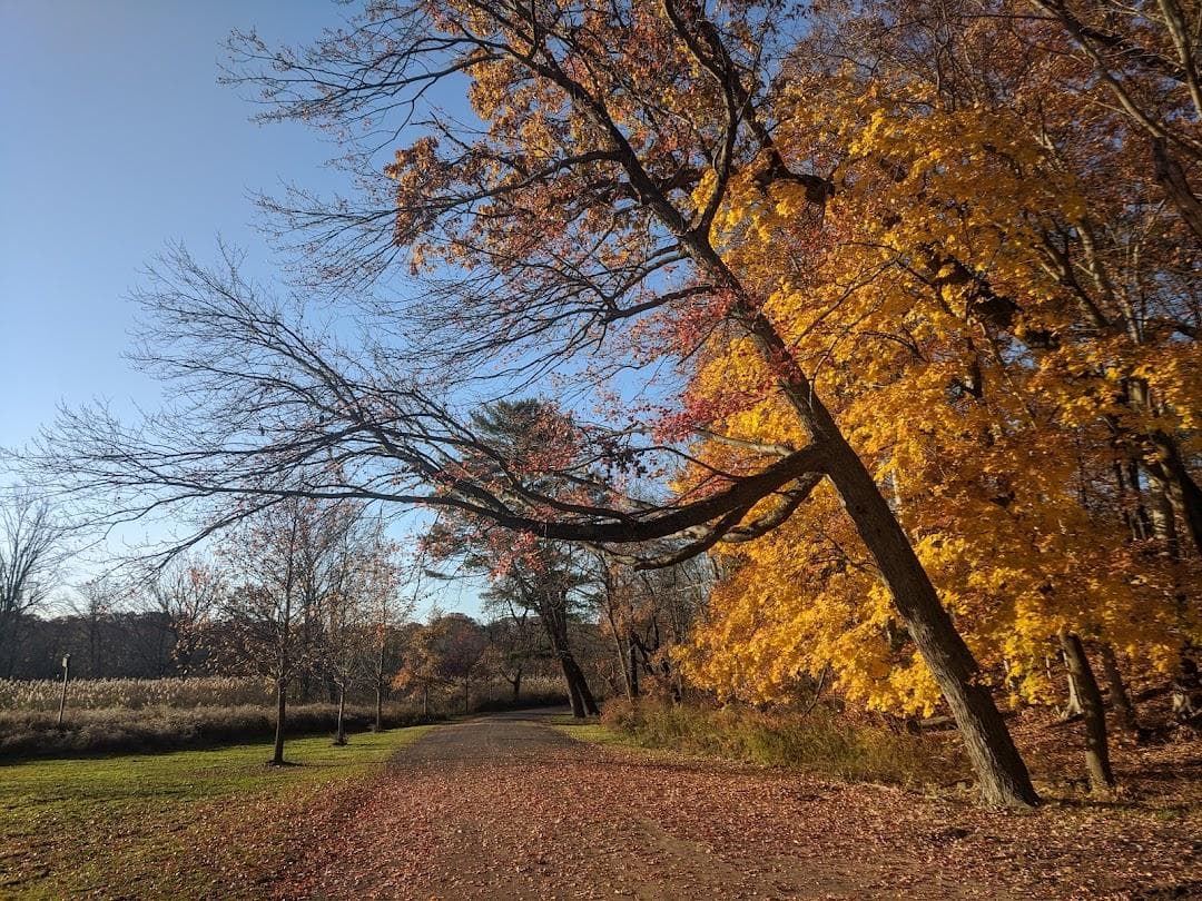 Edgewood Park photo 3