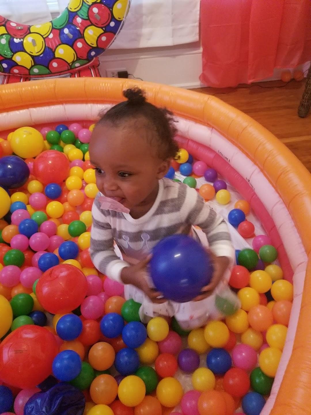 Charlotte Council of Garden Clubs photo 1