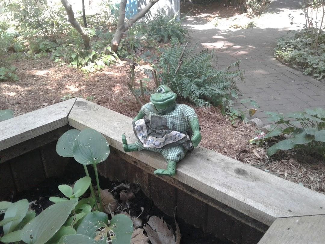 All People's photo 5