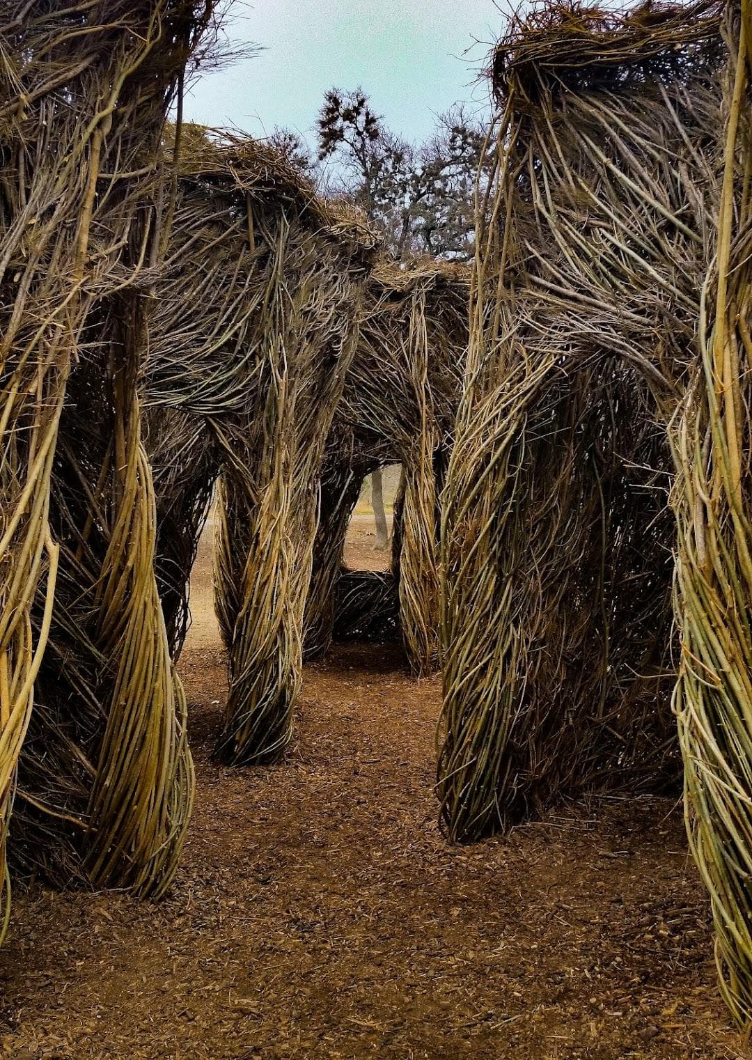 Pease District Park photo 5