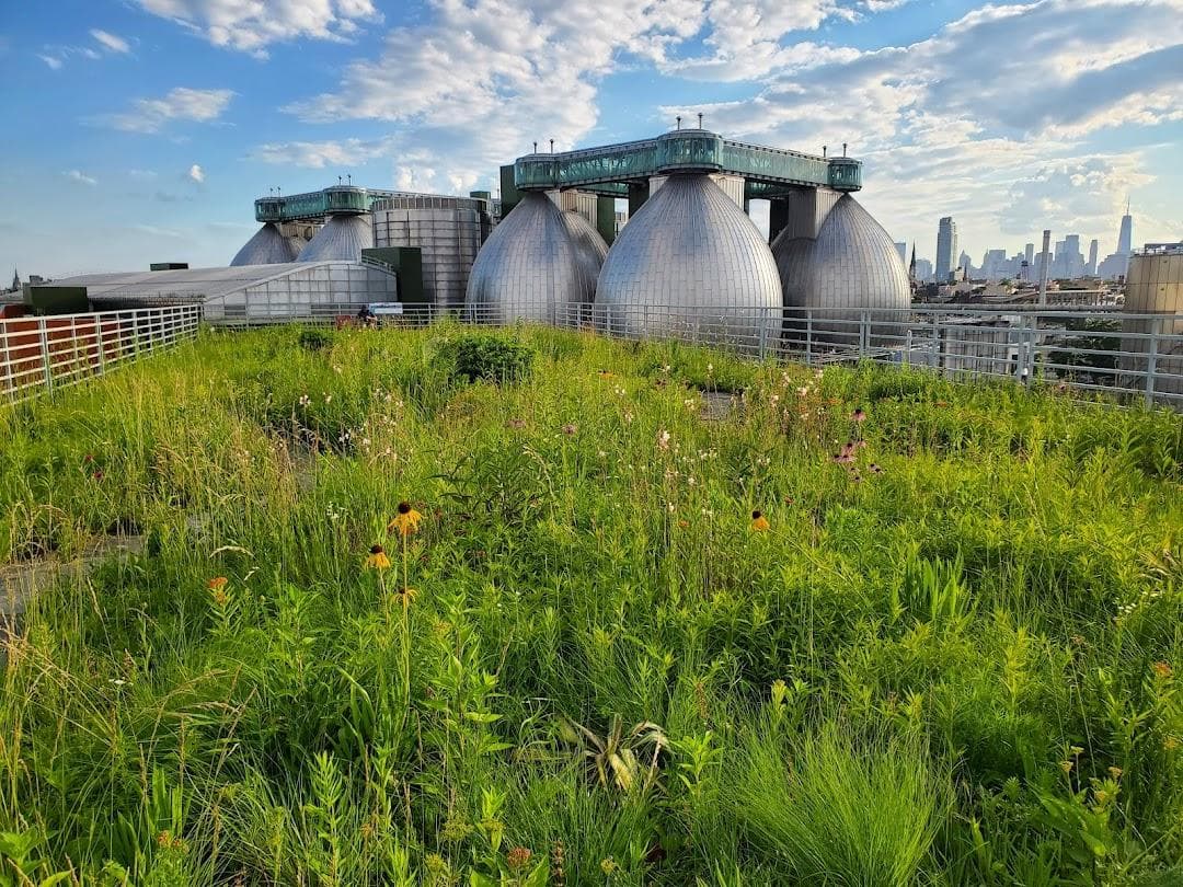 Kingsland Wildflowers Green Roof & Community Engagement Center photo 2