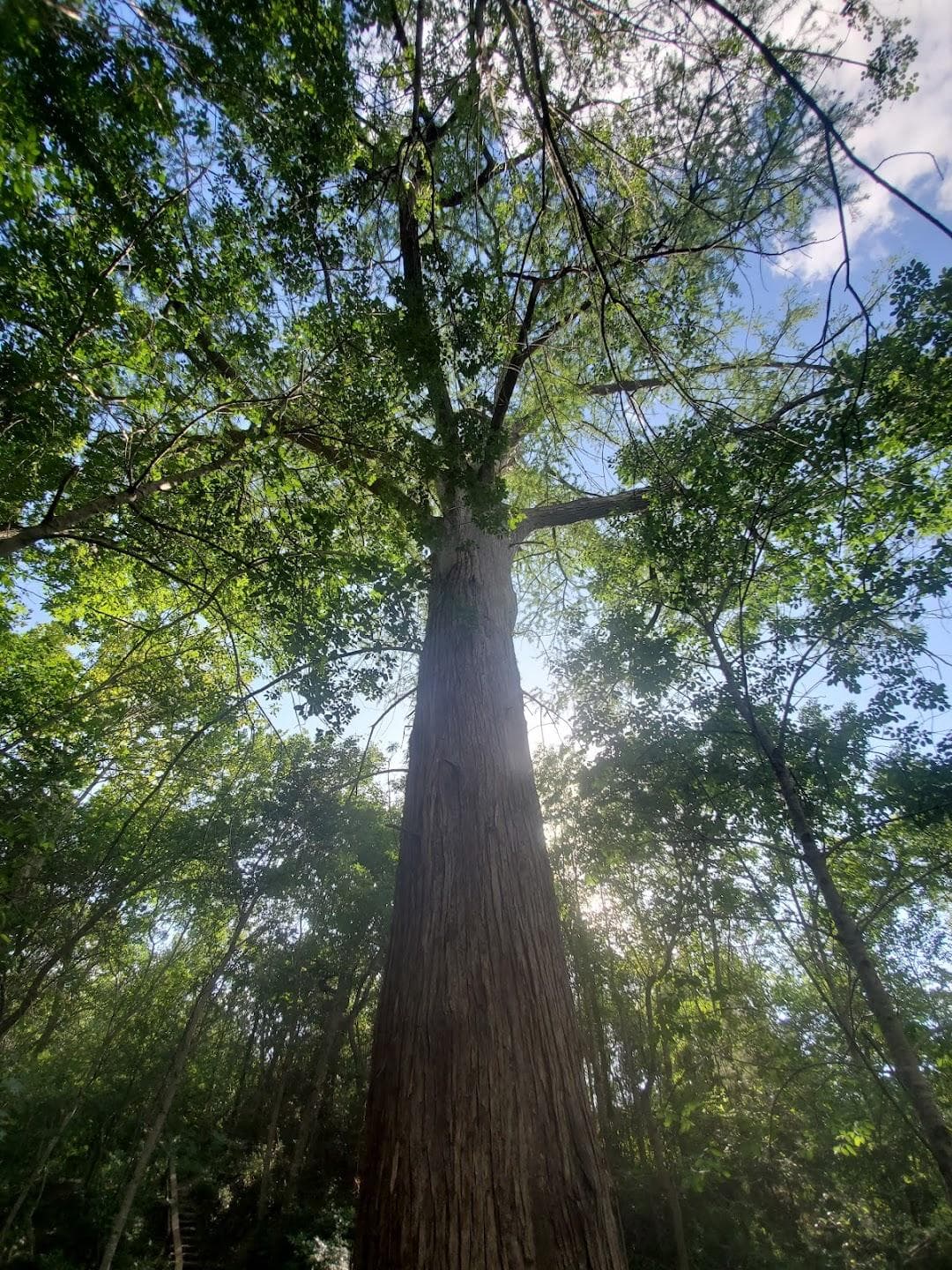 McKinney Falls State Park photo 1