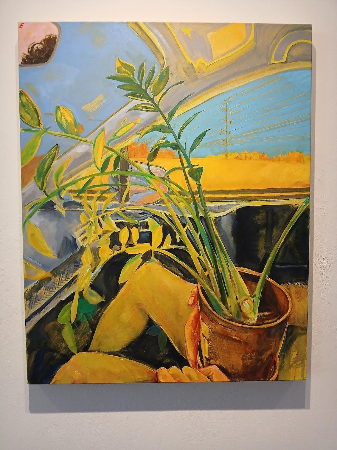 Pentimenti Gallery photo 6