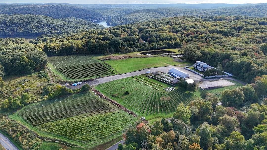 Aquila's Nest Vineyards photo 6