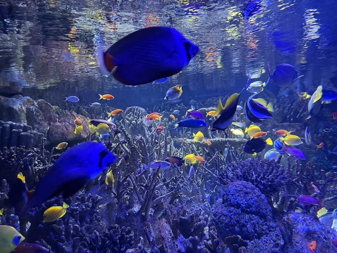 New England Aquarium photo 6