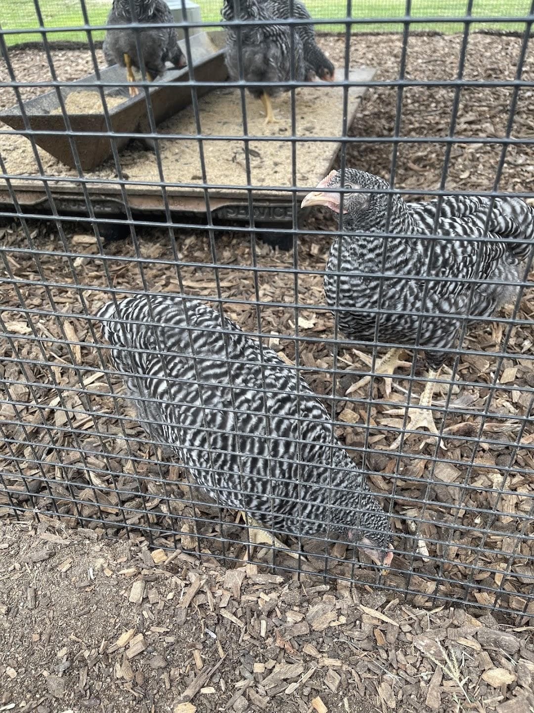 Terhune Orchards photo 3