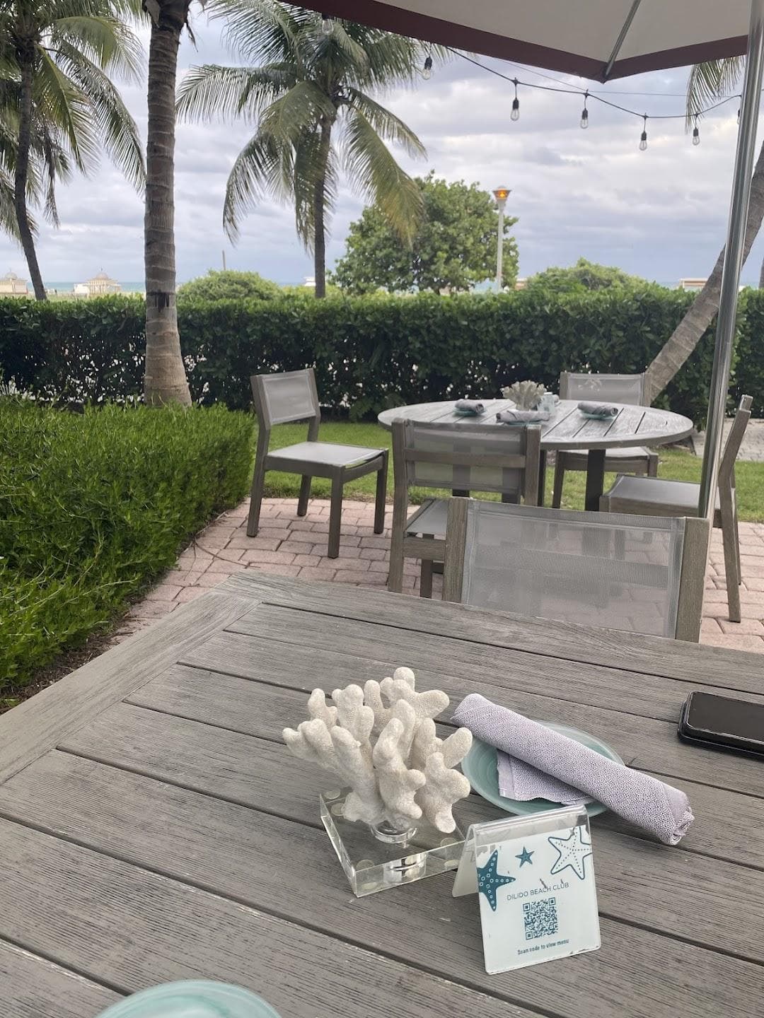 DiLido Beach Bar photo 2