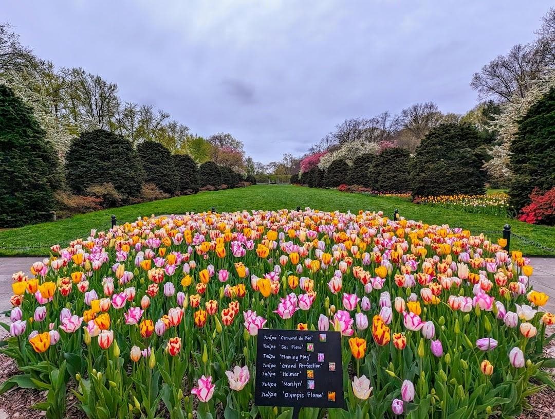Brooklyn Botanic Garden photo 1