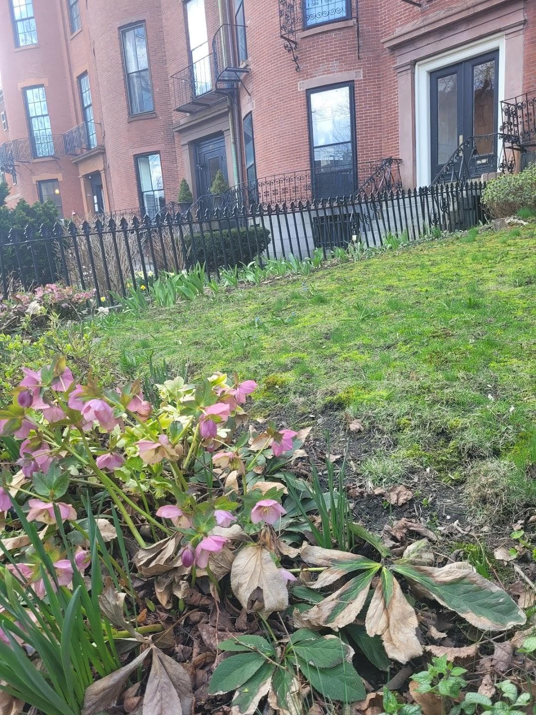 Beacon Hill photo 4