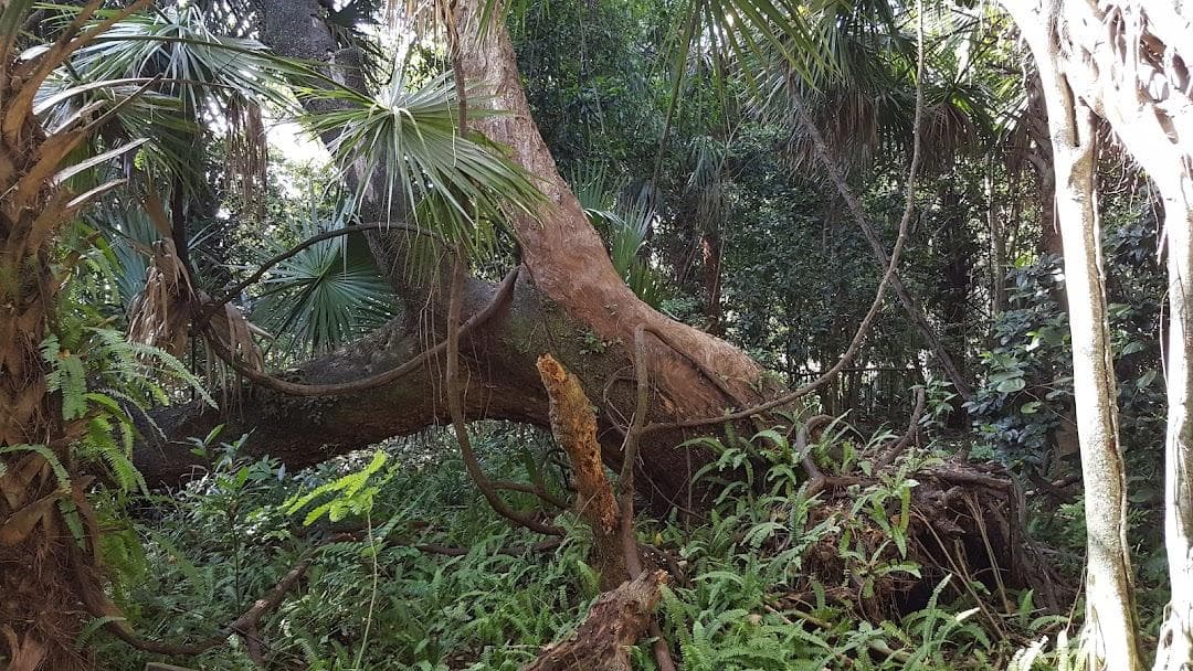 Arch Creek Park photo 1