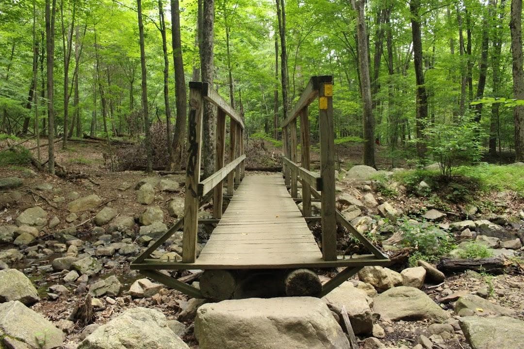 Ramapo Valley County Reservation photo 1