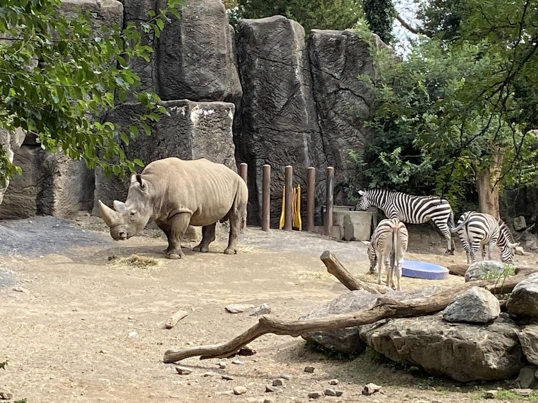 Philadelphia Zoo photo 3