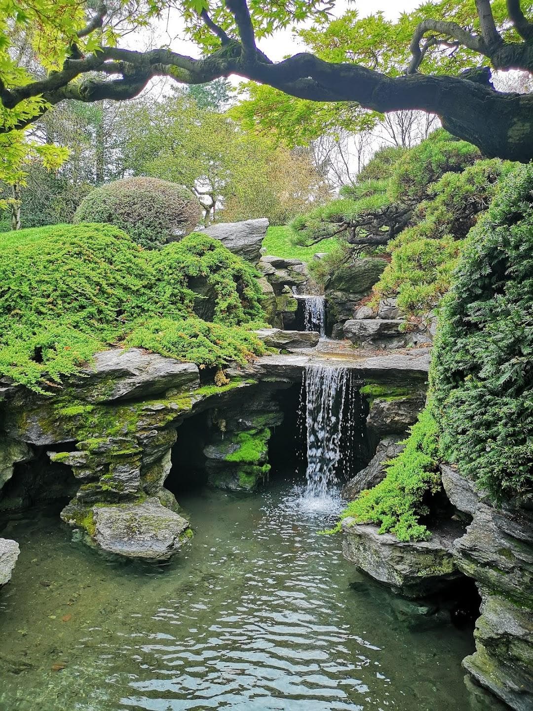 Brooklyn Botanic Garden photo 2