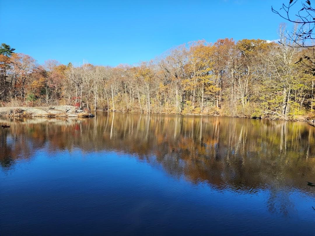 Allandale Woods photo 3