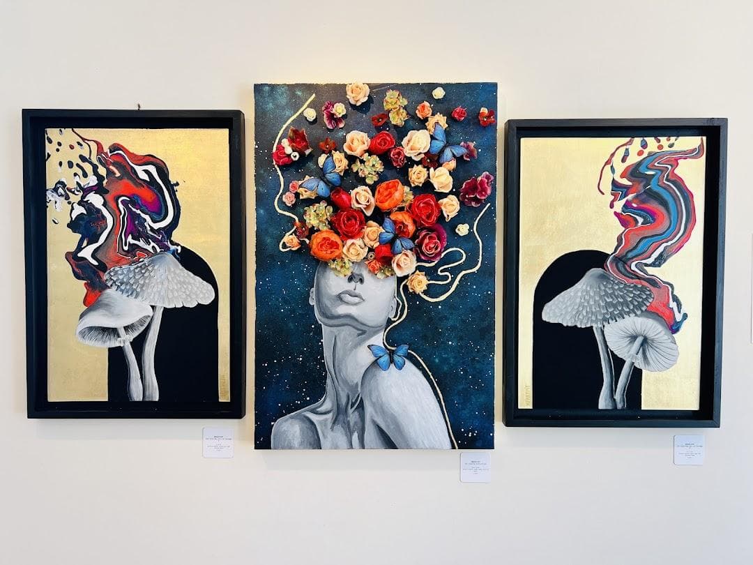 NoName Gallery photo 1