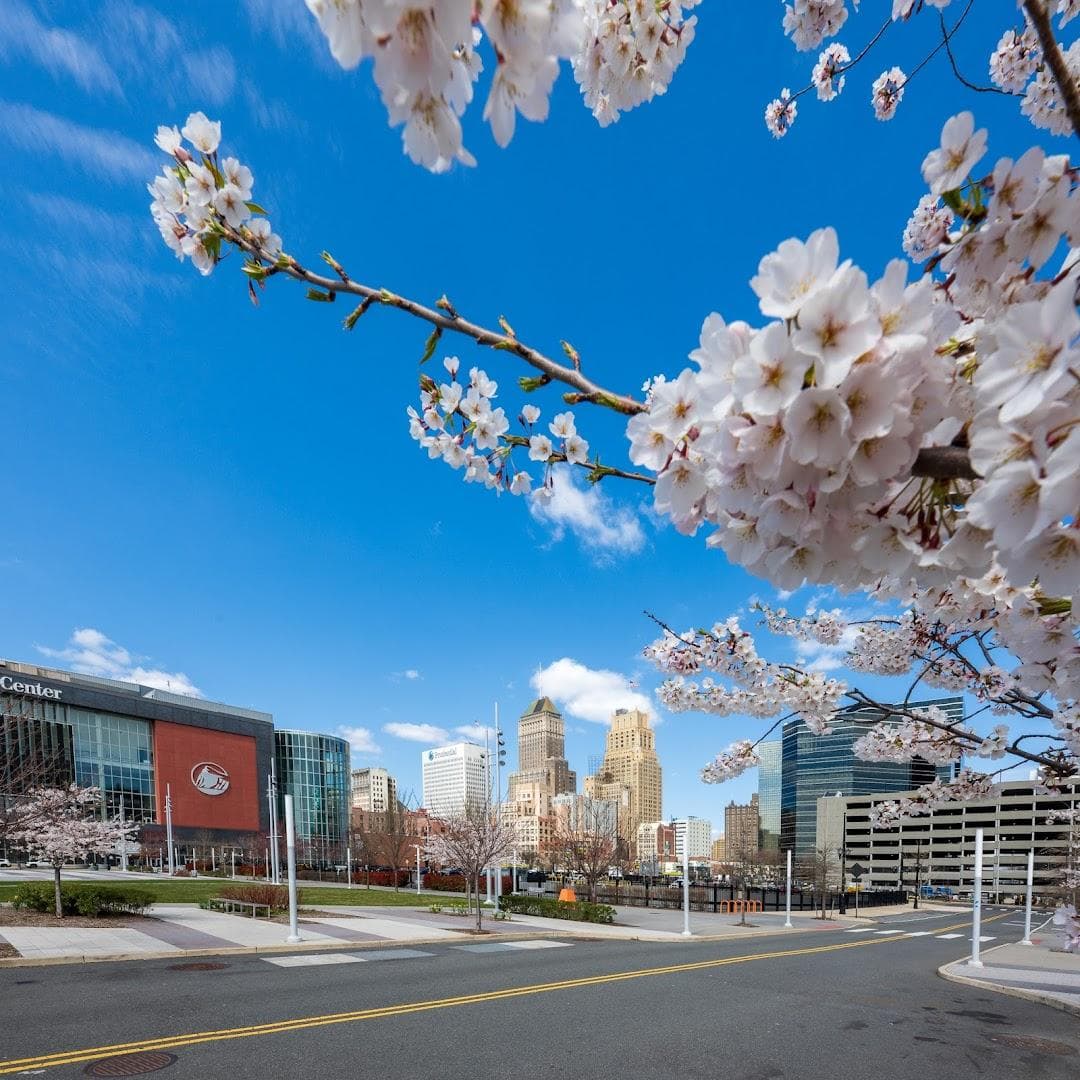 Mulberry Commons photo 3