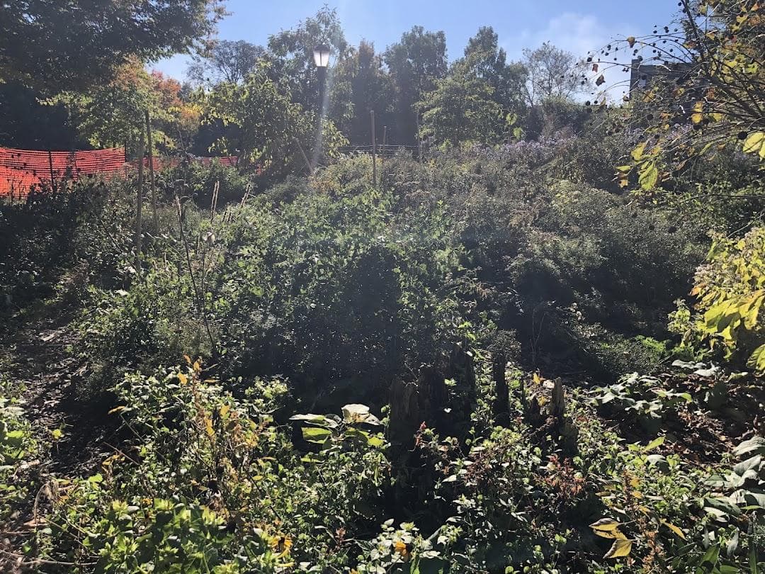 Monarch Butterfly Garden photo 5