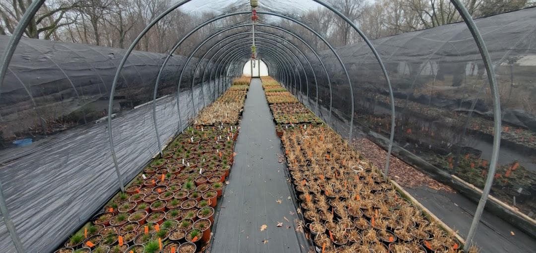 Citywide Nursery photo 3