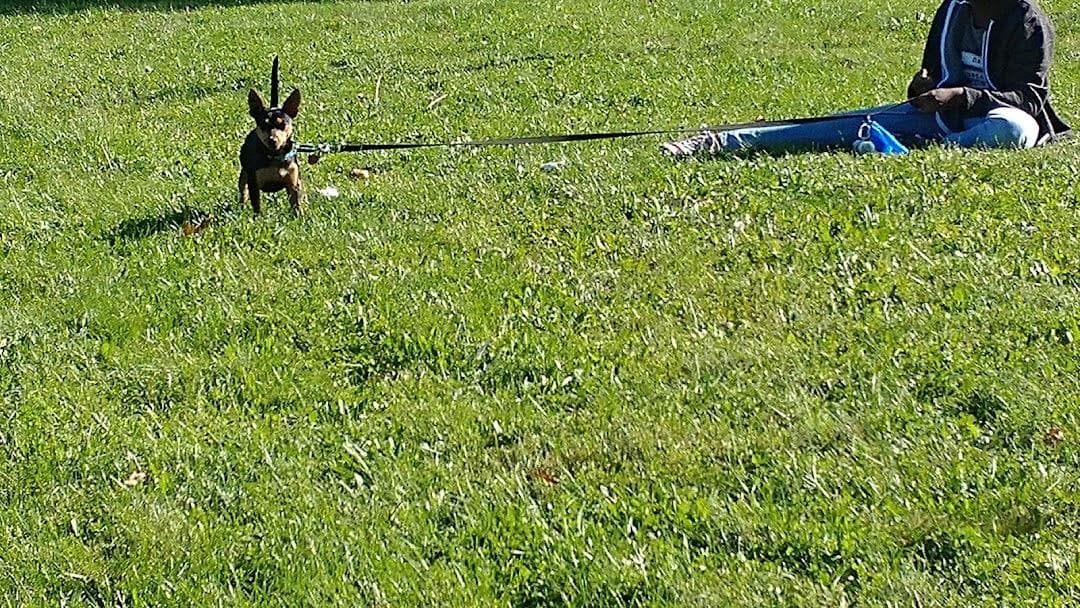 Mildred Avenue Community Center photo 4