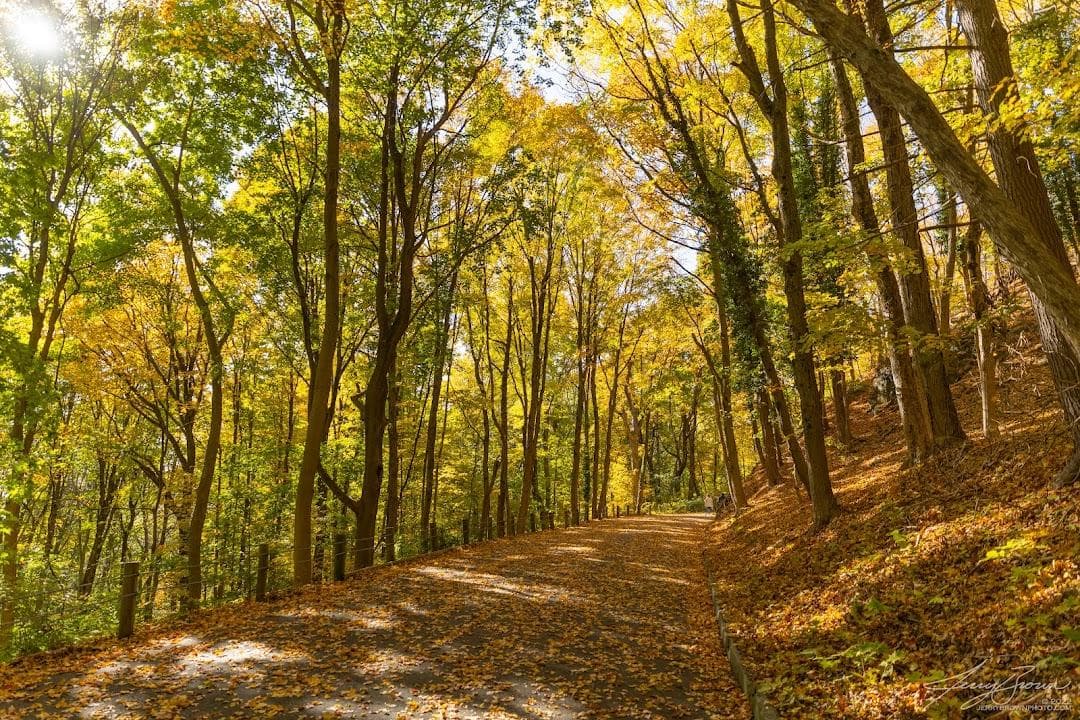 East Rock Park photo 2