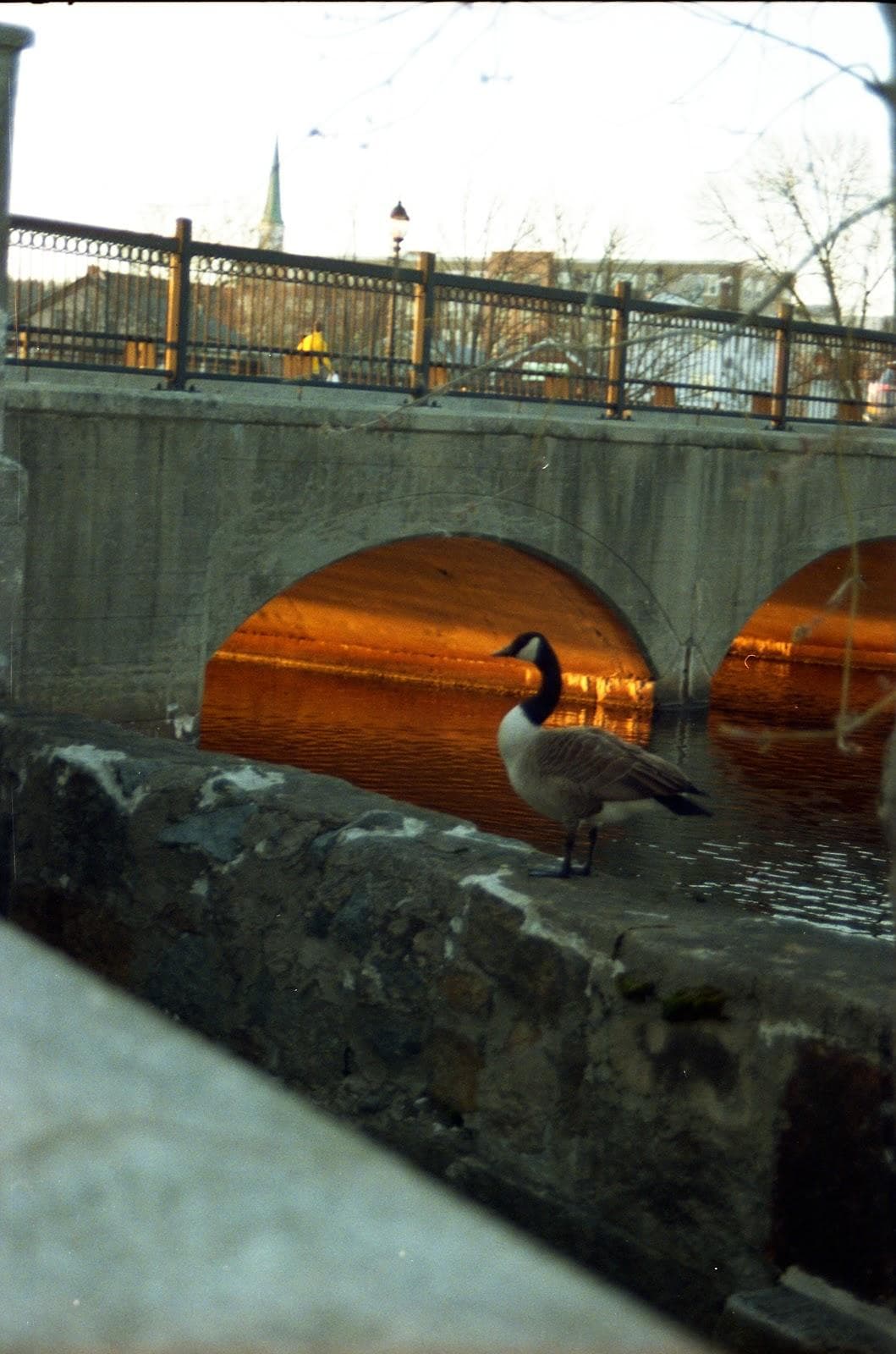 Moody Street Bridge photo 2