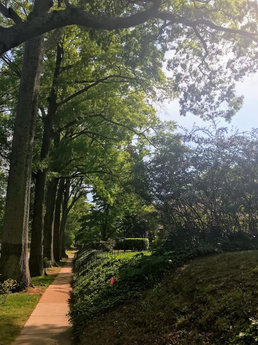 Wesley Heights photo 5