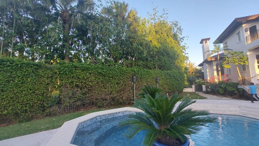 Coral Gables photo 5