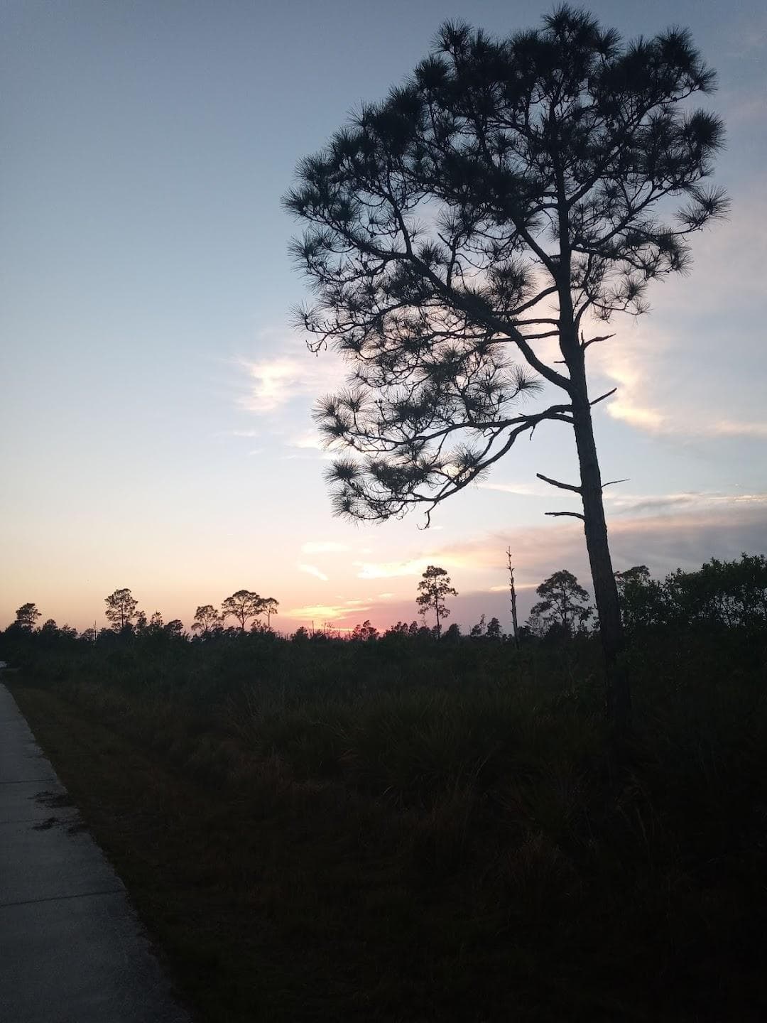 Gomez Preserve Nature Trail photo 3