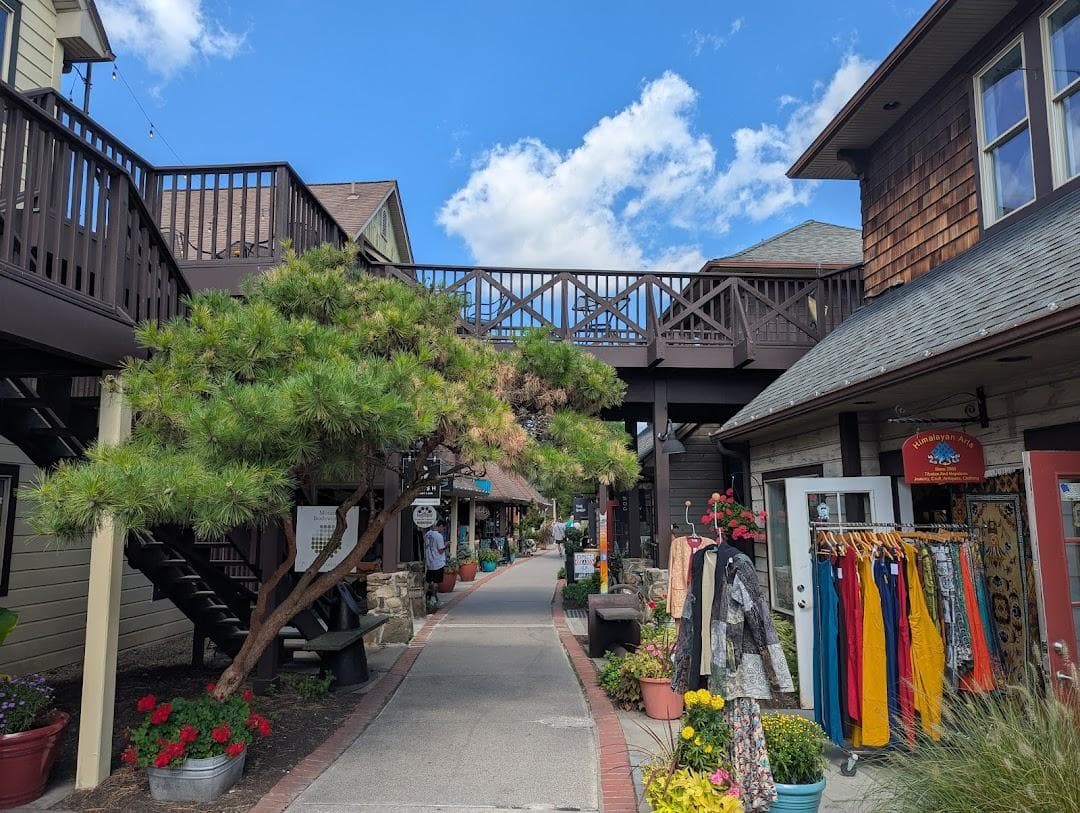 Mudd Puddle Coffee Roasters photo 4