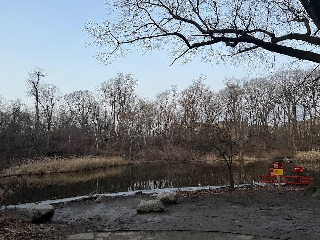 Dry Harbor Playground photo 3