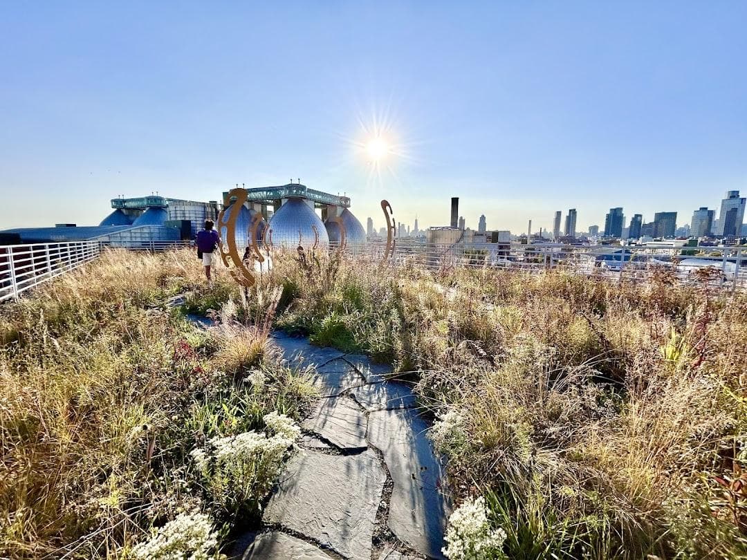 Kingsland Wildflowers Green Roof & Community Engagement Center photo 6