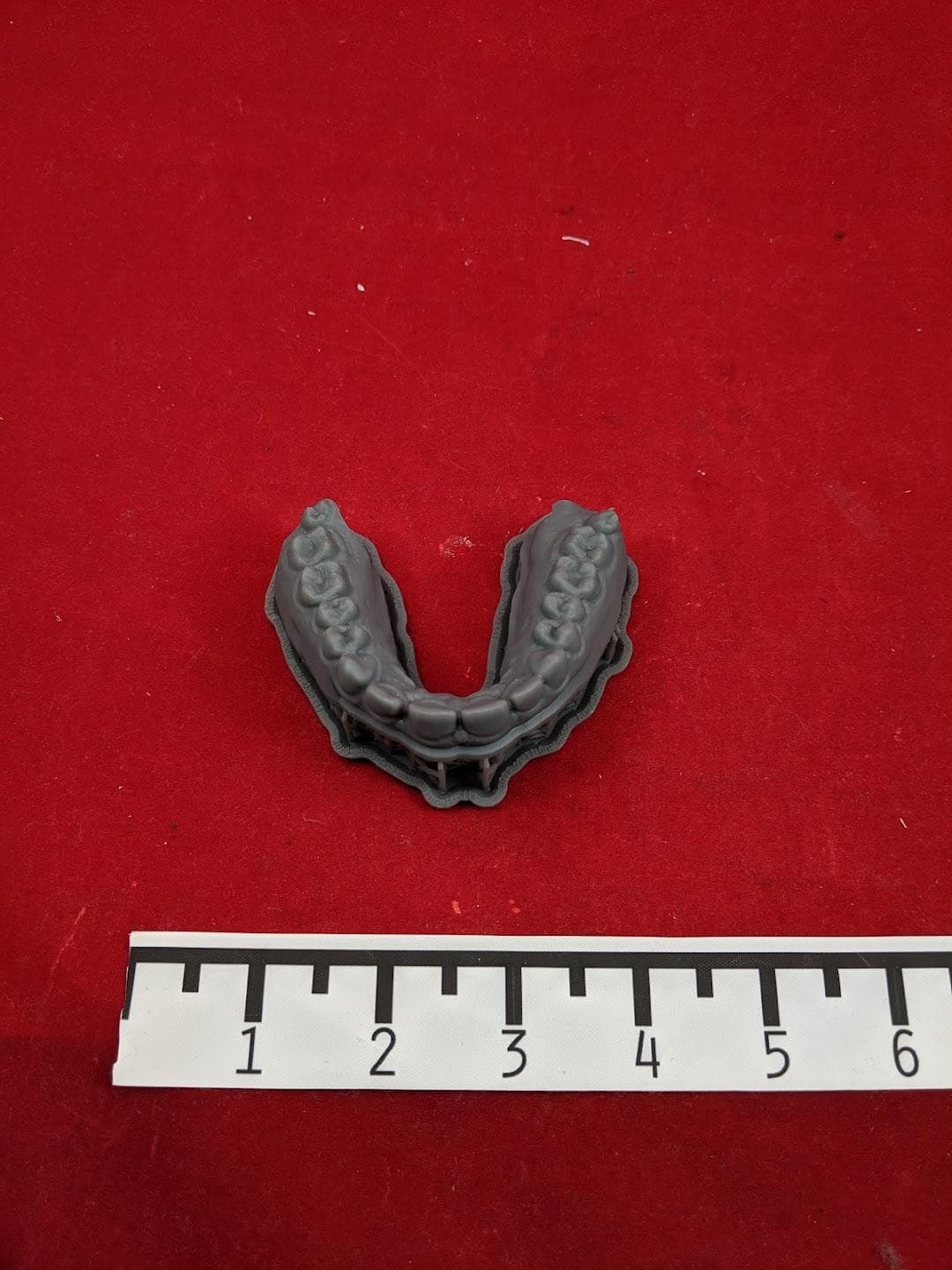 Holman Biotech Commons photo 1