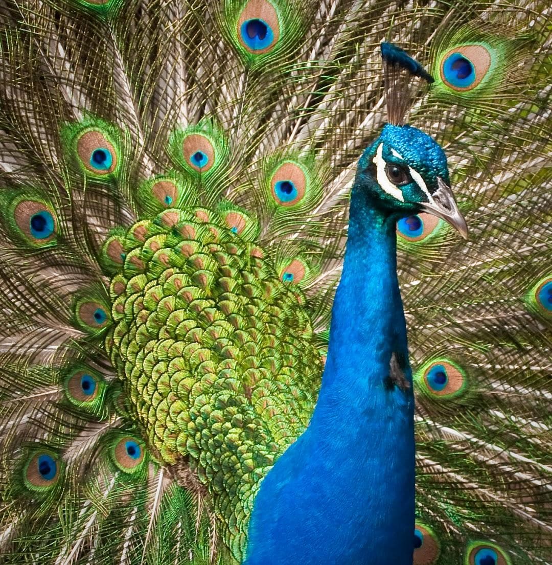 Philadelphia Zoo photo 1